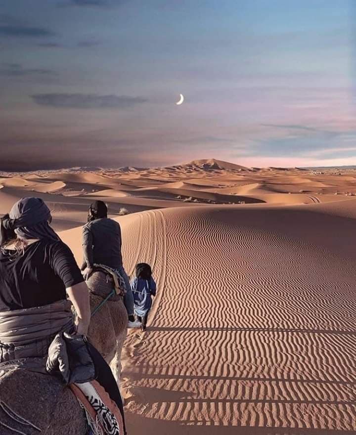 Desert dreams. Следуй за мной картинки пустыни.